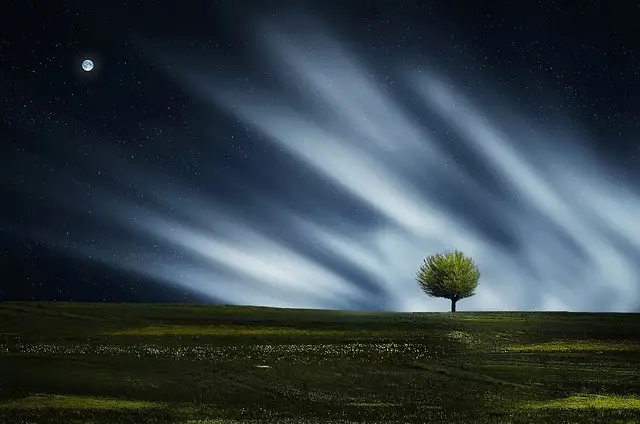 Lone tree standing in an open field under a starry night sky with moon and streaks of light symbolizing hope and renewal.